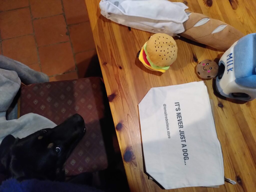 Des jouets pour chien en forme d'aliment, posés sur une table. À côté il y a un chien qui a la tête posée sur une chaise. Il regarde la caméra.