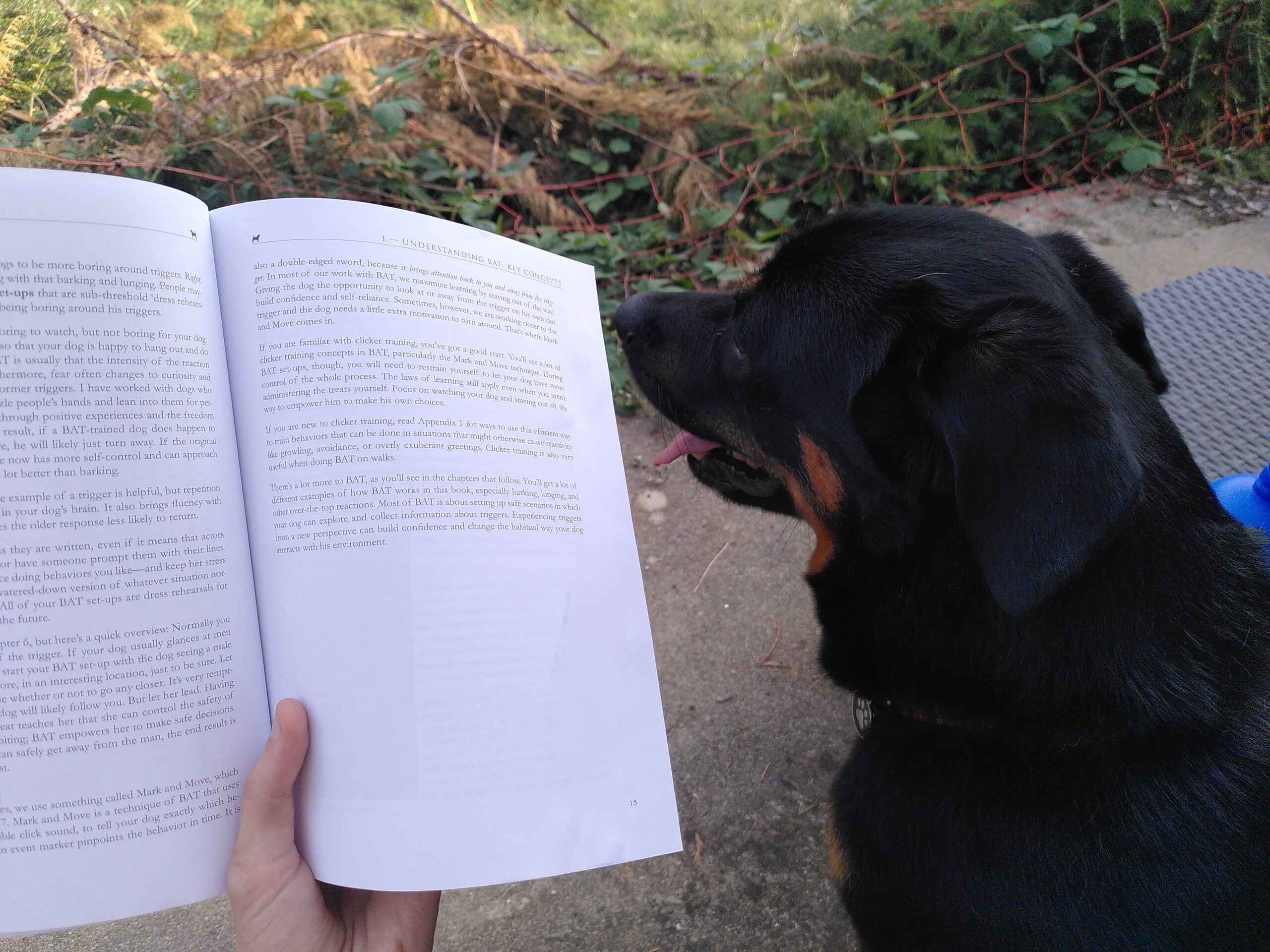 Une main qui tiens un livre. A coté ce trouve un chien noir et feu, assis dos à la caméra.
